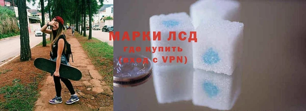 PSILOCYBIN Алзамай
