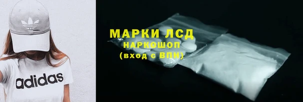 PSILOCYBIN Алзамай