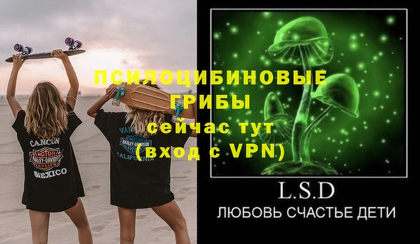 PSILOCYBIN Алзамай