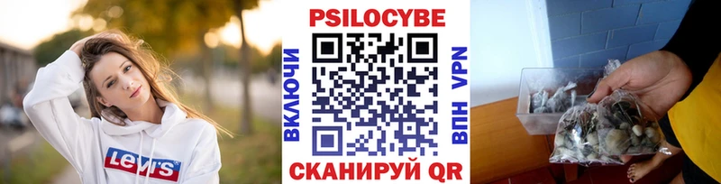 мега как зайти  Андреаполь  Галлюциногенные грибы Cubensis 